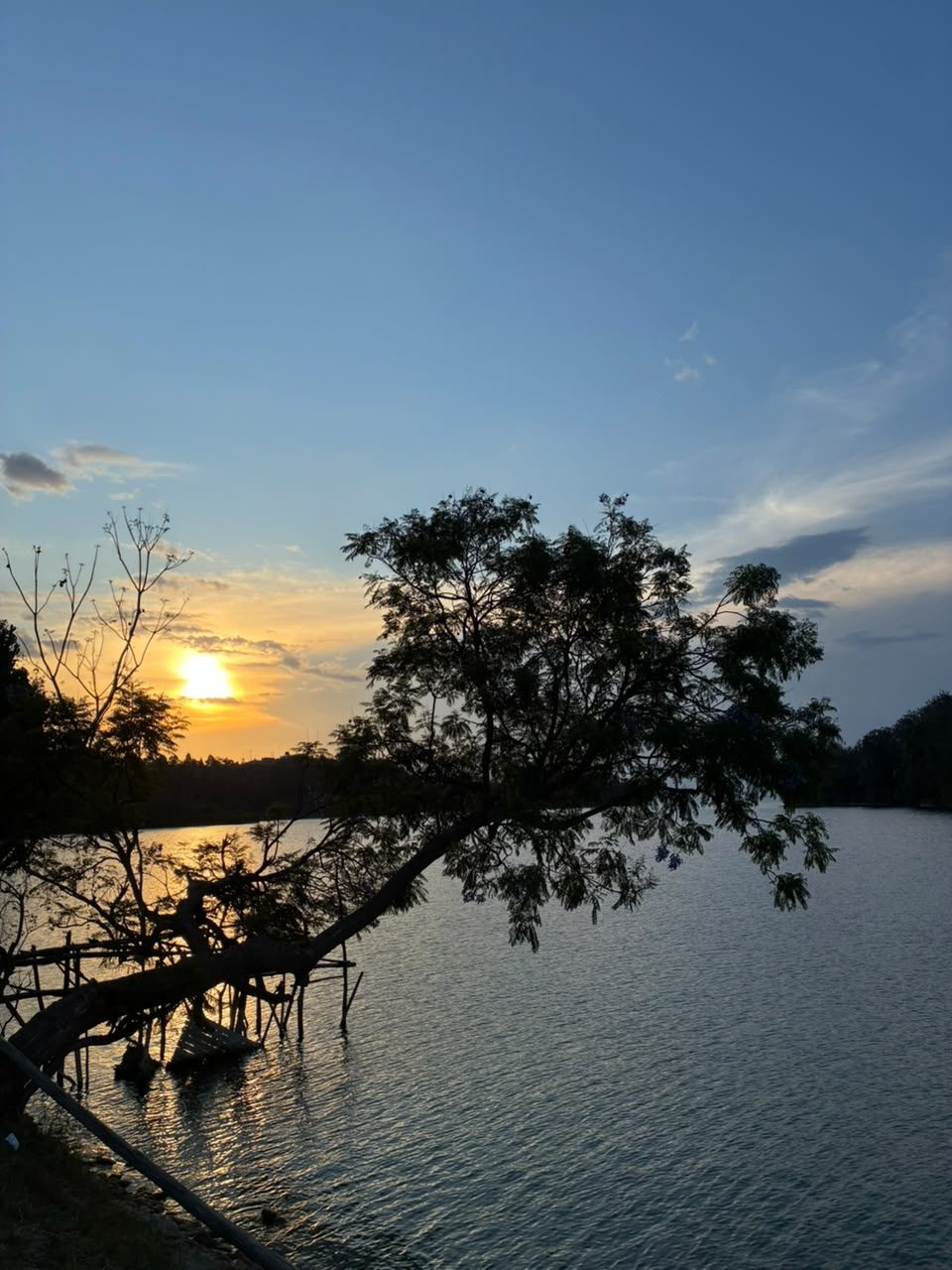 Sunset Session VI