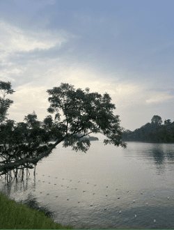 Karongi is beautiful